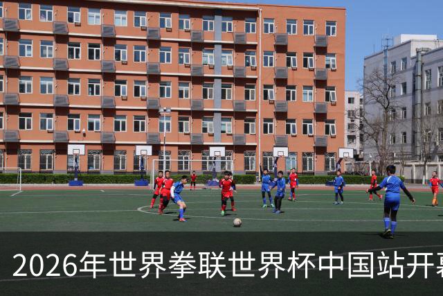 2026年世界拳联世界杯中国站开幕 赛事首次落户中国
